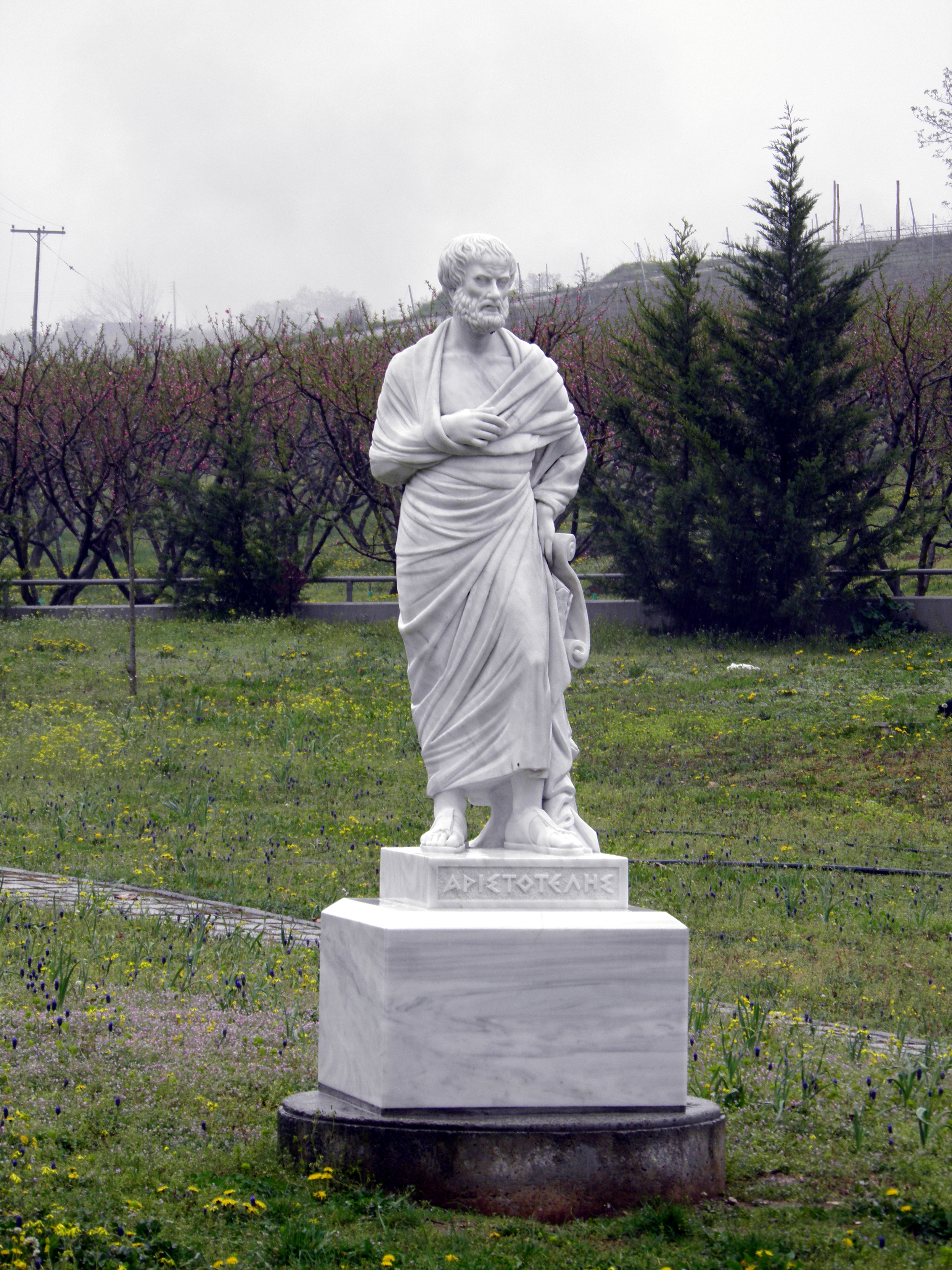 Aristotle and Science